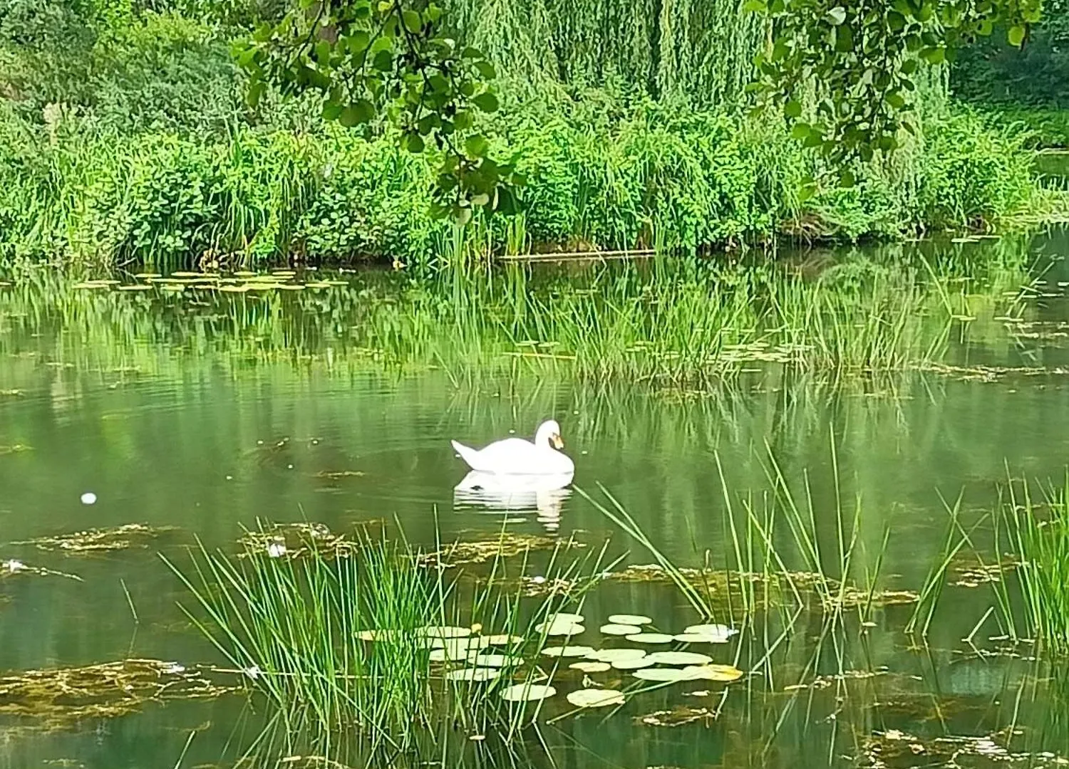 ,,Zielona Przystan Nad Morzem