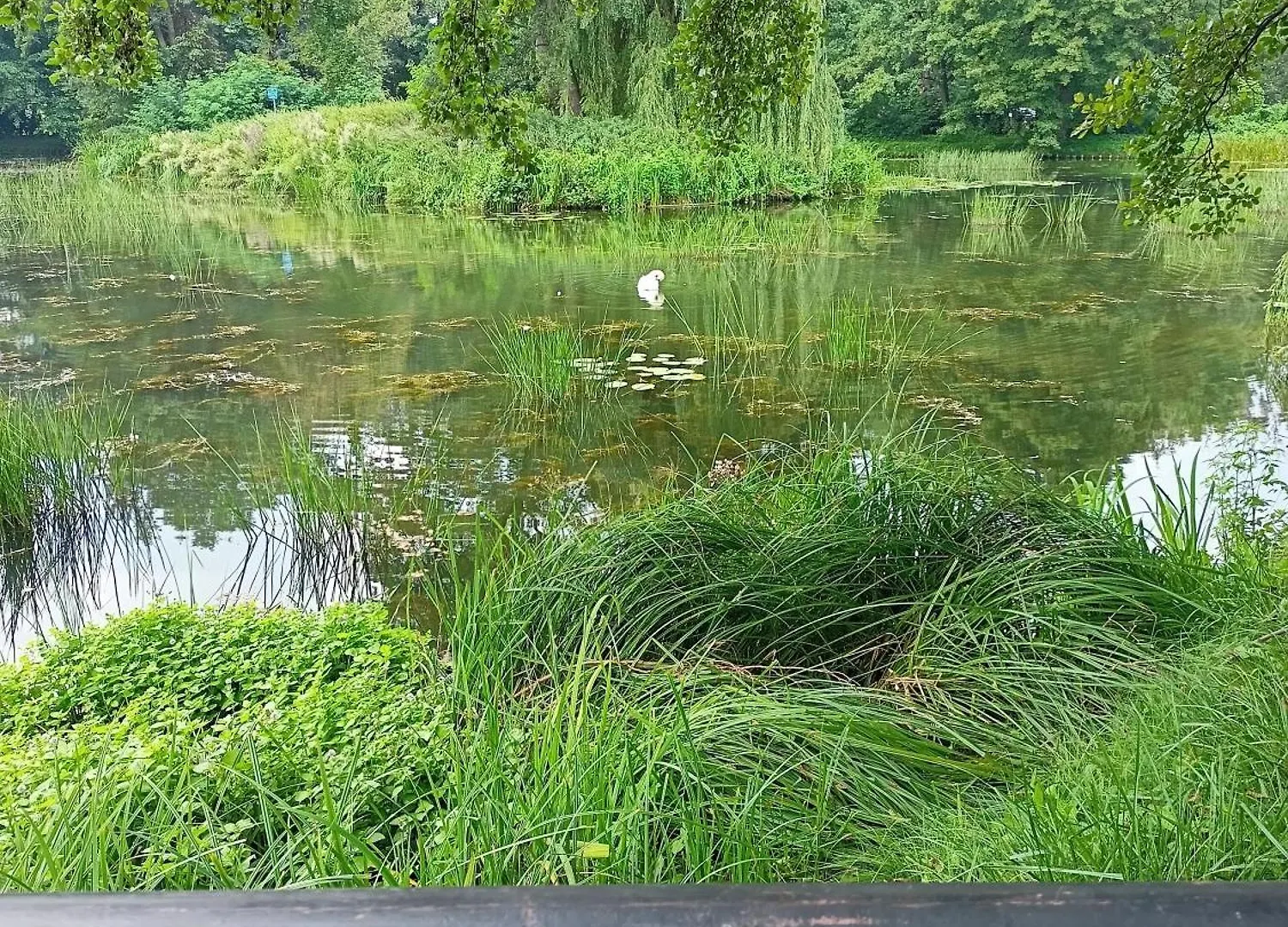 ,,Zielona Przystan Nad Morzem
